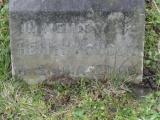 image of grave number 206209